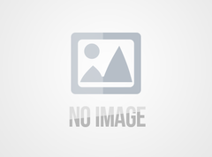 (English) Aluminum Garden Fence5